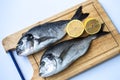 Couple of fresh raw sea bream fish Sparus aurata or Orata on wooden chopping board on a white background.