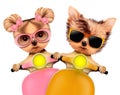 Couple of funny dogs on a motorbike Royalty Free Stock Photo