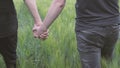 A couple of gay men walking on a green wheat field holding hands