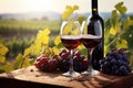 A couple of glasses of wine next to some grapes, providing an enjoyable wine tasting experience, Two glasses of red wine and a Royalty Free Stock Photo