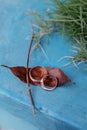 A Couple Gold Wedding Rings on Dead Leaf