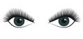 Couple of green female beautiful stilized eyes Royalty Free Stock Photo