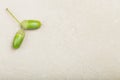 Couple of green fresh shiny acorns on grey table