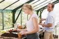 Couple in greenhouse putting soil in pots smiling Royalty Free Stock Photo