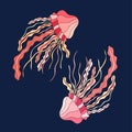 Couple of  hand drawn colorful jellyfishes on dark blue background. Royalty Free Stock Photo