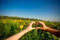 Couple hands in form of heart against sunflower landscape