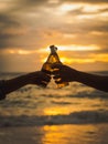 Couple hands holding beer bottles and clanging on the sunset beach. Party, Holiday, Summer, Friendship Concept. Royalty Free Stock Photo