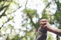 Couple of hands touching and holding with nature woods background. Concept of ambient and eart planet environment. People in love Royalty Free Stock Photo