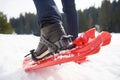 Couple having fun and walking in snow shoes Royalty Free Stock Photo