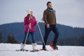 Couple having fun and walking in snow shoes Royalty Free Stock Photo