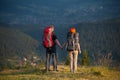 Couple hikers with backpacks holding hands, walking in the mountains Royalty Free Stock Photo