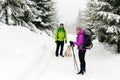 Couple hikers hiking in winter woods Royalty Free Stock Photo