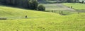 Couple hikes in green grassy hills of south limburg in the netherlands on sunny autumn day