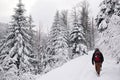 Couple hiking along a snow covered forest path in winter Royalty Free Stock Photo