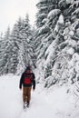 Couple hiking along a snow covered path in the forest Royalty Free Stock Photo