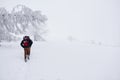 Couple hiking along a snowy trail in the wintertime Royalty Free Stock Photo