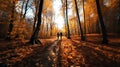 A couple hiking in an autumn forest, walking on a path in the woods towards a clearing.. Beautiful sunshine through the trees. Royalty Free Stock Photo