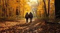 A couple hiking the autumn forest, walking on a path in the woods towards a clearing. Beautiful sunshine through the trees.