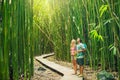 Couple hiking through bamboo forest Royalty Free Stock Photo