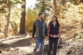 Couple hiking in a forest hold hands and look at each other Royalty Free Stock Photo