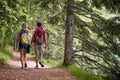 A couple is hiking the forest path. Trip, nature, hiking