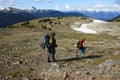 Couple Hiking in Garibaldi Provincial Park Royalty Free Stock Photo