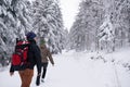 Couple hiking together along a snow covered forest path Royalty Free Stock Photo