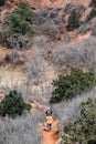 Couple hiking trail in Colorado Red Rocks Open Space Colorado Springs Royalty Free Stock Photo