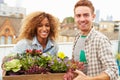 Couple Holding Box Of Plants On Rooftop Garden Royalty Free Stock Photo