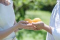 Couple holding in hand two lemons