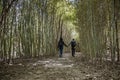 Couple holding hands and walking in a field with bamboos Royalty Free Stock Photo