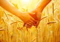 Couple holding hands and walking on golden wheat field Royalty Free Stock Photo