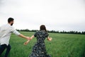 Couple holding hands and walking in a green flowers field Royalty Free Stock Photo