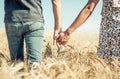 Couple holding hands in a wheat field Royalty Free Stock Photo