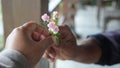 Couple holding pink small roses in hands. Person giving rose flowers. Romantic relationship. Kindness, take and give concept.