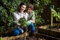 Couple holding sapling plant in garden