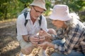 Couple wearing hats holding strobili while enjoying walk in forest