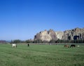 Couple of horses eating near Smith Rocks, Oregon