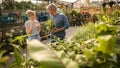 Couple Inside Greenhouse In Garden Centre Choosing And Buying Plants Royalty Free Stock Photo