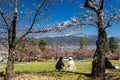 couple in Joyama park with sakura at spring