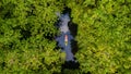 couple kayak in jungle of Krabi Thailand, men and woman kayak in tropical jungle mangrove forest. Royalty Free Stock Photo