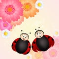 Couple of ladybugs Royalty Free Stock Photo