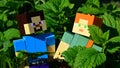 Couple of LEGO Minecraft large figures of Steve and Alex in dense green foliage of Lemon Balm and Spearmint plants.