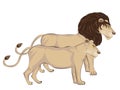 Couple of Lions