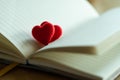 Couple little red hearts in a opened page of literature