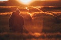 Couple in love have fun together in gold rye field in summer sunset light Royalty Free Stock Photo