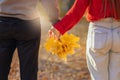 Couple in love hold hands on a walk in the park, bouquet of autumn yellow maple leaves in hands, love autumn Royalty Free Stock Photo