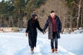 Couple in love holding hands and walking together in park in winter Royalty Free Stock Photo