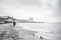 A couple in love, in jeans and T-shirts, is walking along the seashore, pigeons and seagulls live around Royalty Free Stock Photo