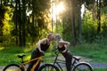 Couple in love kissing on bicycles